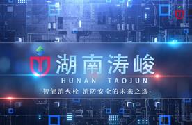湖南濤峻 | 為消火栓裝上“智慧大腦”，守護(hù)城市安全！